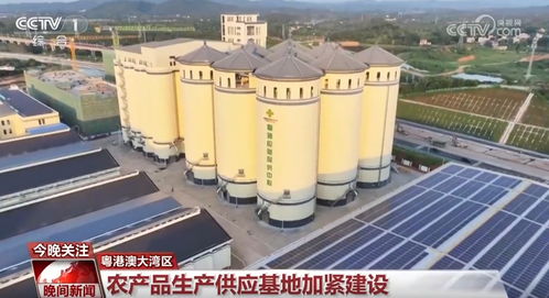 假期堅守一線勇擔當 推進重大工程項目建設按下 加速鍵